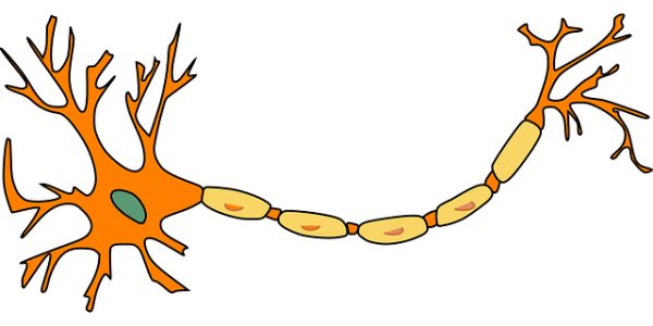 89eb59fd8907d9f507eec14bedfaabd1_1456497